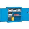 LEAF DOOR CABINET 1023x555x1000mm BLUE 2 SHELF thumbnail-0