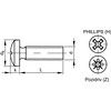 M6x10 POZI RSD CHEESE HEAD SCREWBZP (GR-4.8) thumbnail-2