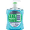 CAREX ANTIBACTERIAL HANDWASH 250ml thumbnail-1