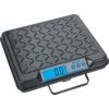 BENCH/DESPATCH SCALE GP250 110KGx200G thumbnail-0