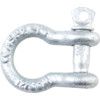 02101 SCREW PIN BOW SHACKLE C/W CERT. thumbnail-0